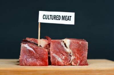 Точная ферментация: мясо и молоко производят бактерии - 7.jpg