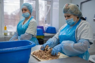Холодец, он же студень: как делают мясной желеобразный бульон с кусочками мяса - 9.jpg
