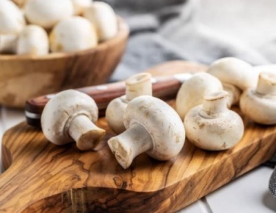 Пока бесплатны дикоросы: ТОП-5 грибов, которые могут заменить мясо - 6.jpg