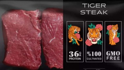 Тигровый стейк, львиный бургер или суши-ролл из зебры? Культивируемое мясо наступает - 10.jpg