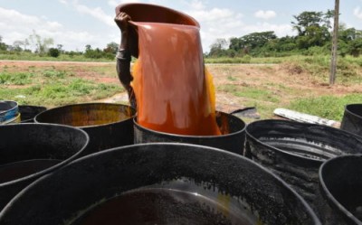 Индонезия остановит экспорт главного сырья для производства продуктов в России - 9.jpg