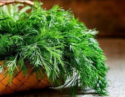 Какие продукты включить в рацион, чтобы не набирать лишнего веса - 8.jpg