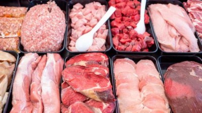 Good Meat грозится стать крупнейшей компанией в мире по производству культивированного мяса - 8.jpg