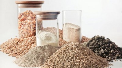 Школьное меню в Уэльсе расширили продуктами из насекомых - 7.jpg