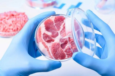 Технология CRISPR снизила стоимость культивируемого мяса в тысячу раз - 10.jpg