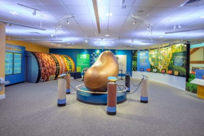 Самый красивый в мире музей фасоли открыт в новом информационном центре Буша - 10.jpg