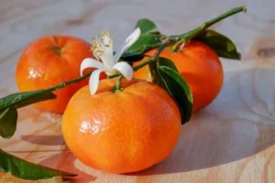 Мандарины к Новому году: а какие сорта мандаринов вы знаете? - 1.jpg