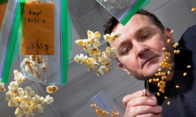 Новый «суперпопкорн» теперь считается полезным продуктом - 10.jpg