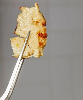 «Гуманное» мясо из биореакторов: лёд тронулся? - 9.jpg