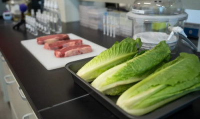 Продукты от бактерий защитит спрей с бактериофагами. Вирусы против вирусов - 10.jpg