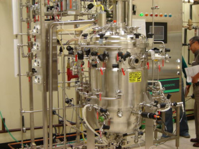 20 ценных аминокислот из углекислого газа: микробы археи прокормят человечество? - 9.jpg