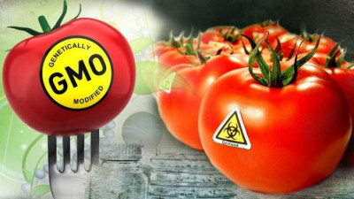 ГМО-продукты: так какие же на сегодня минусы и плюсы? - 10.jpg