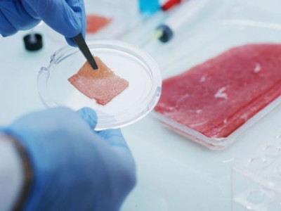Настоящий стейк из вырезки выращен в лаборатории швейцарской Mirai Foods - 10.jpg