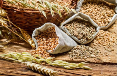 Эксперты Low Food: фуражная пшеница пригодна для людей: в России затаили дыхание - 8.jpg