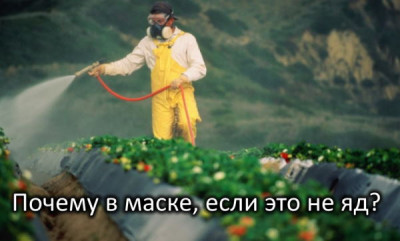 Овощи с пестицидами – это наш сукин сын, а ГМО страшно - 6.jpg