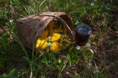Мёд из одуванчиков: чем полезен сироп из цветов рода астровых - 7.jpg