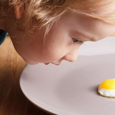Любите куриные яйца, но у вас аллергия? Генные инженеры решили вопрос - 8.jpg