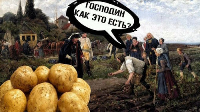 Проще пареной репы? - 7.jpg