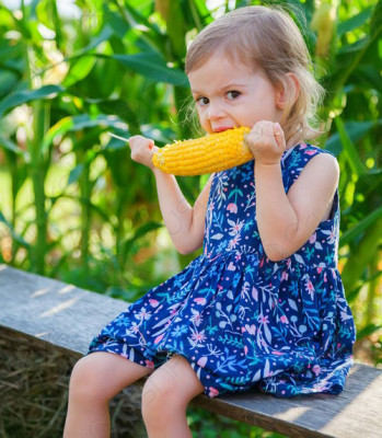 Будь голодным, продлевай себе жизнь Пока только для плодовых мушек - 9.jpg