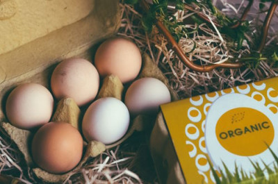 Фермерские продукты: чем они отличаются об обычных и действительно ли они полезнее? - 7.jpg