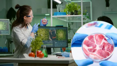 Как накормить 1,5 млрд: мясо в биореакторах начали выращивать и в Китае - 10.jpg