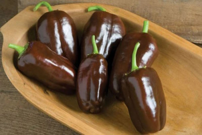 Уникальные продукты новосибирских учёных: аналогов нет - 6.jpg