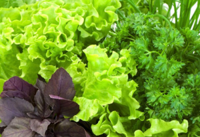 Вкусный старт весны: 5 продуктов для здоровья и красоты - IMG_006.JPG