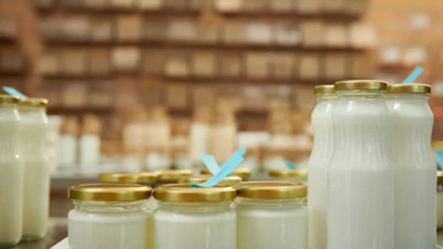 Производство немолочных йогуртов: искусство и наука - IMG_007.JPG
