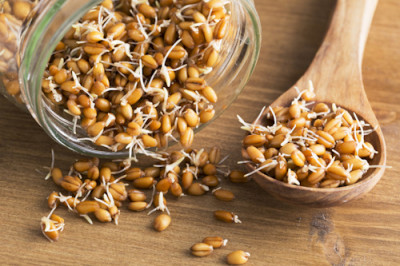 Вкусный секрет здоровья: зародыш пшеницы - IMG_010.JPG