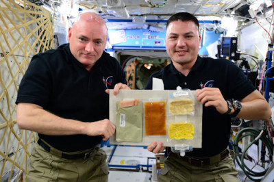 Космические обеды: чем и как пилоты и астронавты питаются в полёте - IMG_007.JPG