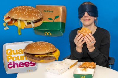 Провал растительного бургера McDonald s: почему McPlant не прижился? - IMG_09.jpg