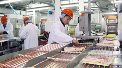 Tyson Foods меняет курс: возвращение к антибиотикам в мясной индустрии - IMG_09.jpg