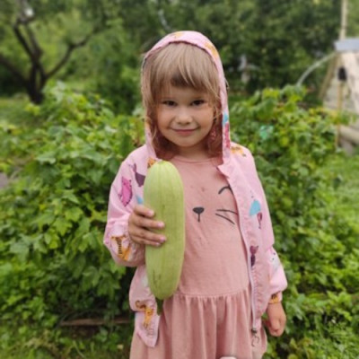 Кабачковый бум: от грядки к веселью - IMG_06.jpg