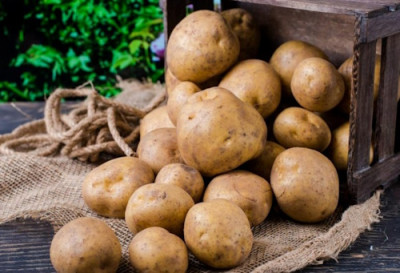 Запасливый гурман: искусство продуктового бункера - IMG_10.jpg
