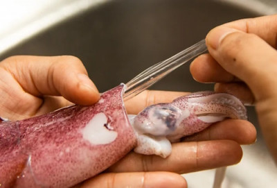 Кальмар вам не подошва: инструкция по приготовлению морепродукта - IMG_07.jpg