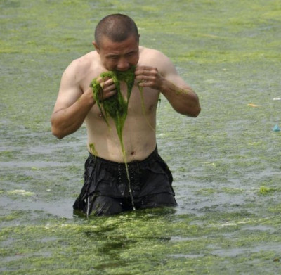 Съедобные водоросли: зеленые герои кулинарного мира - IMG_05.jpg
