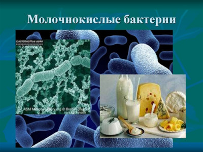 Когда твоё растительное молоко уже не совсем растительное - IMG_08.jpg
