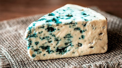 Космическое мисо: когда внеземная плесень вкуснее земной - IMG_09.jpg