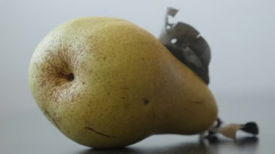 Почему груша долго не портится? - IMG_10.jpg
