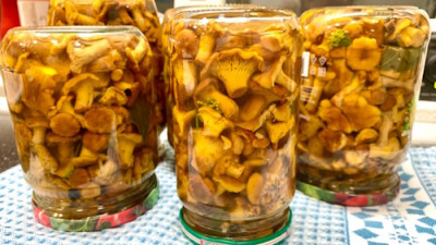 Лисички: рыжие гибочки на кухне - IMG_06.jpg