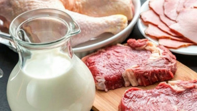 Фантомный склад: как в Твери рисовали продукты - IMG_04.jpg