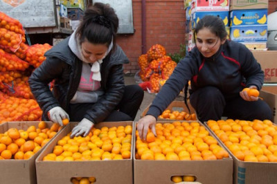 Мандарины: битва за кошелёк - IMG_02.jpg
