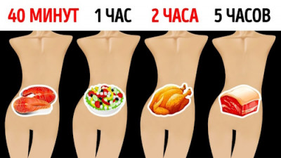 Сколько времени переваривается еда? - IMG_01.jpg