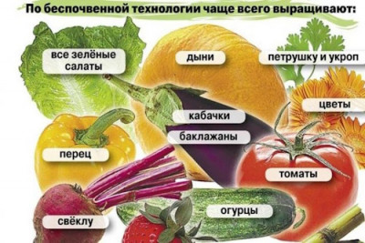 Стоит ли есть только местные продукты: правда или очередной гастрономический миф? - IMG_01.jpg