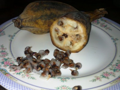 Экзотические овощи и фрукты - банан с косточками.jpg