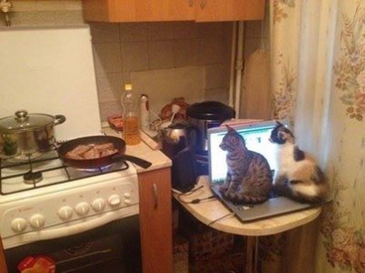Test - 10153136_686898608033198_963806670_n.jpg