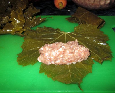 Долма - IMG_8296.JPG