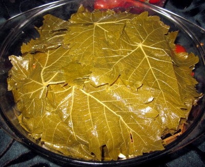 Долма - IMG_8324.JPG
