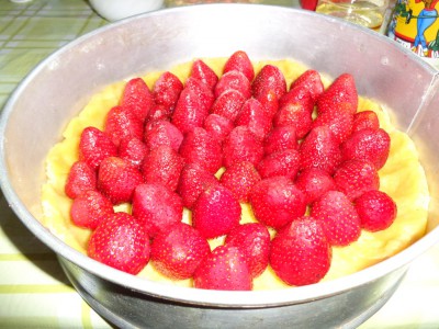 Ягода: что приготовить с ягодой, с чем ее есть - DSC00019.JPG