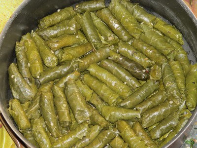 Долма - IMG_3565.JPG